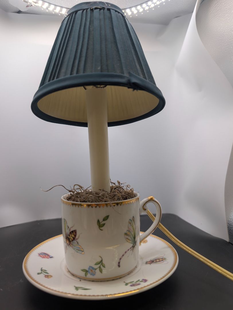 Teacup Lamp
