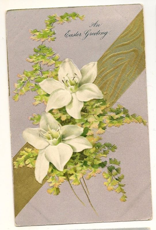 Early Nash Easter Lily Postcard Series 327