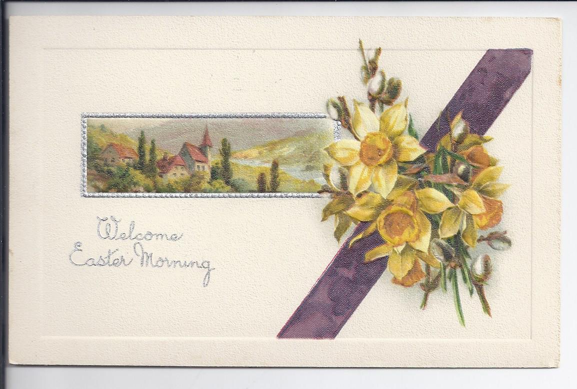 MINT John Winsch Series 481 Daffodil Flower Postcard