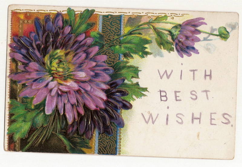 High Gloss Purple Flower Gold Gilt Best Wishes Postcard Series 1420