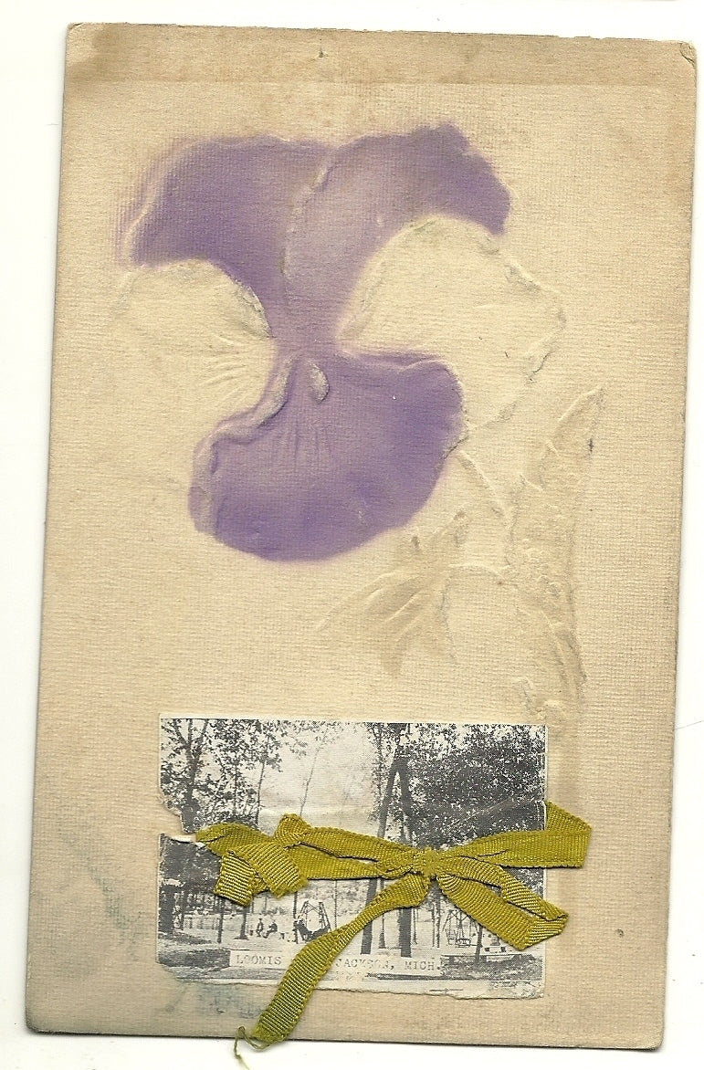 Loomis Park Jackson MI Michigan Purple Flower Greeting Postcard