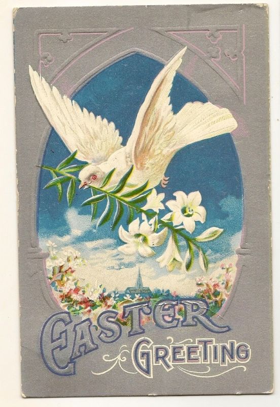 White Dove Silver Easter Lily Series Postcard 1909