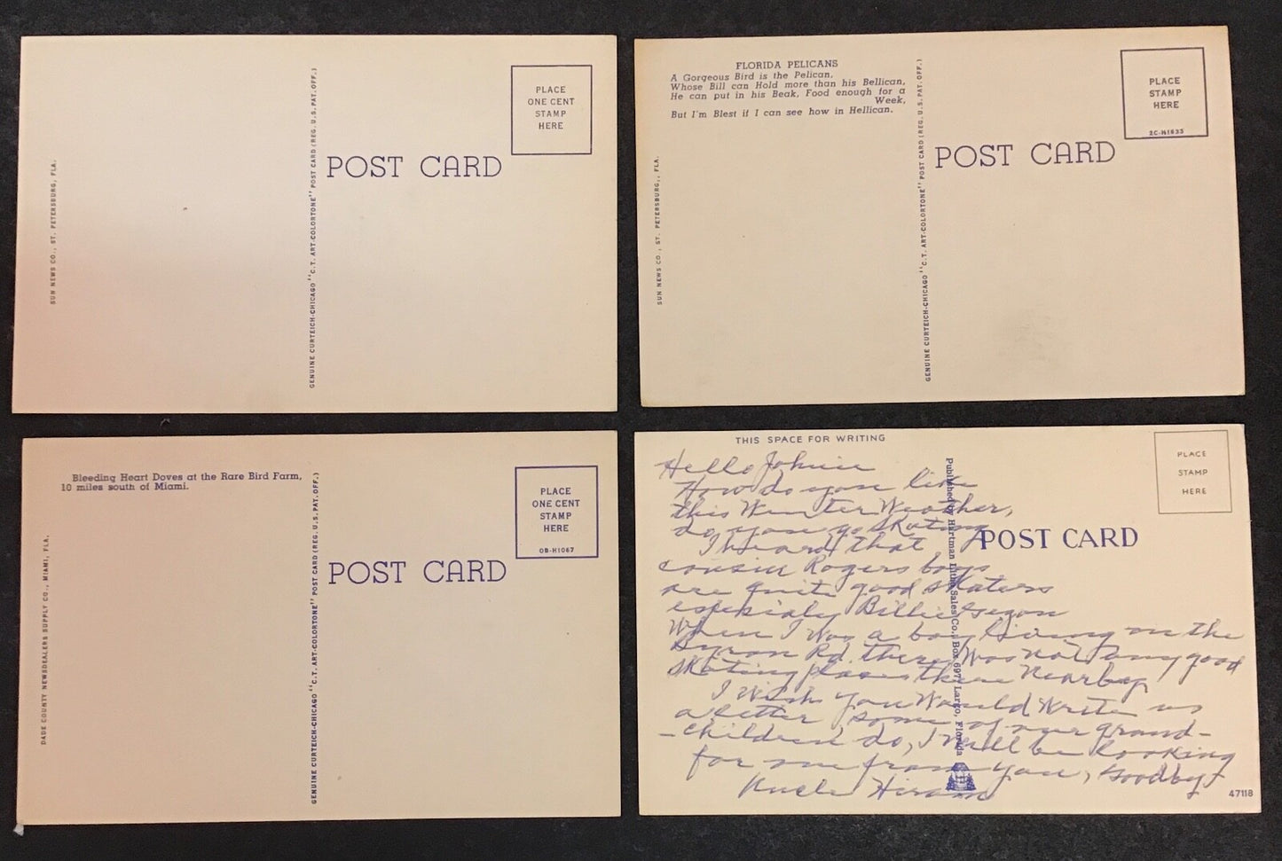 Lot of 8 Various Florida Birds Set of Postcards