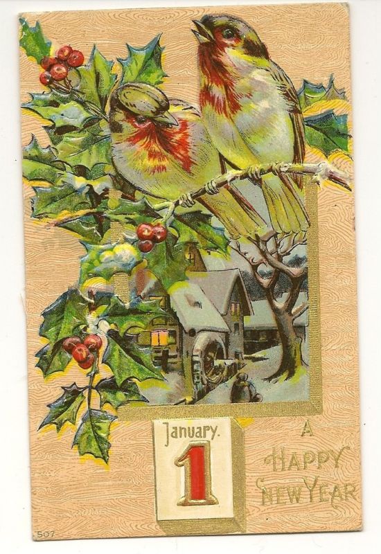 New Year Holiday Birds Holly Postcard Series 507