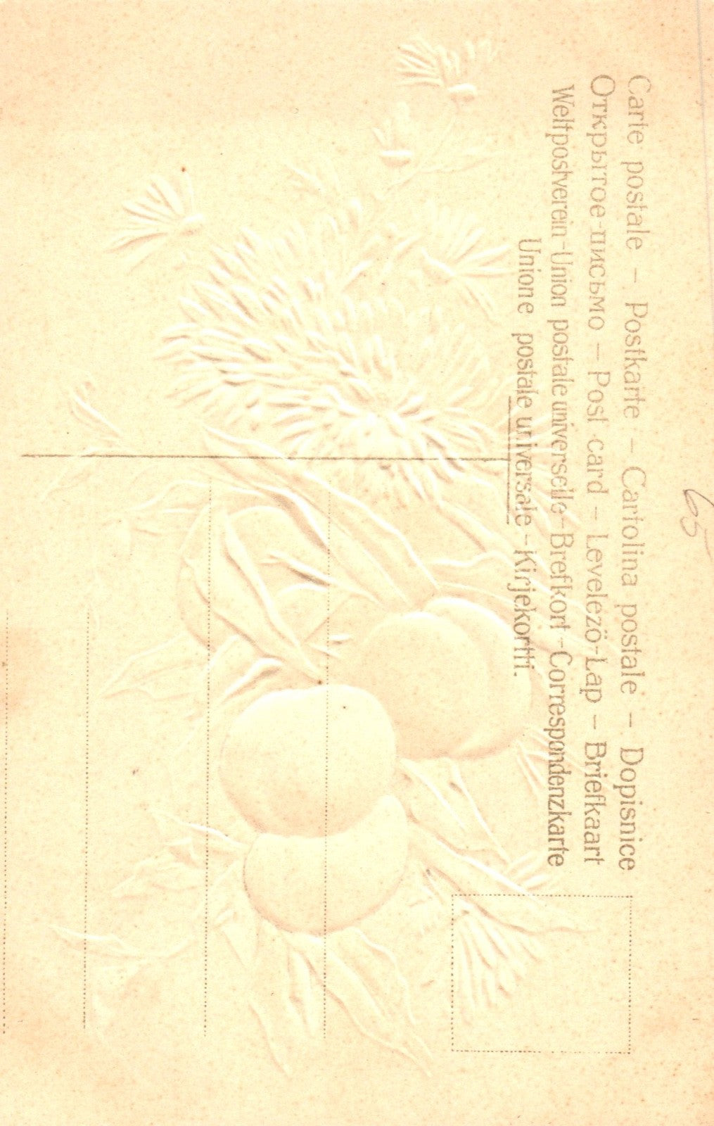 Artist Catherine Klein Flowers and Fruit