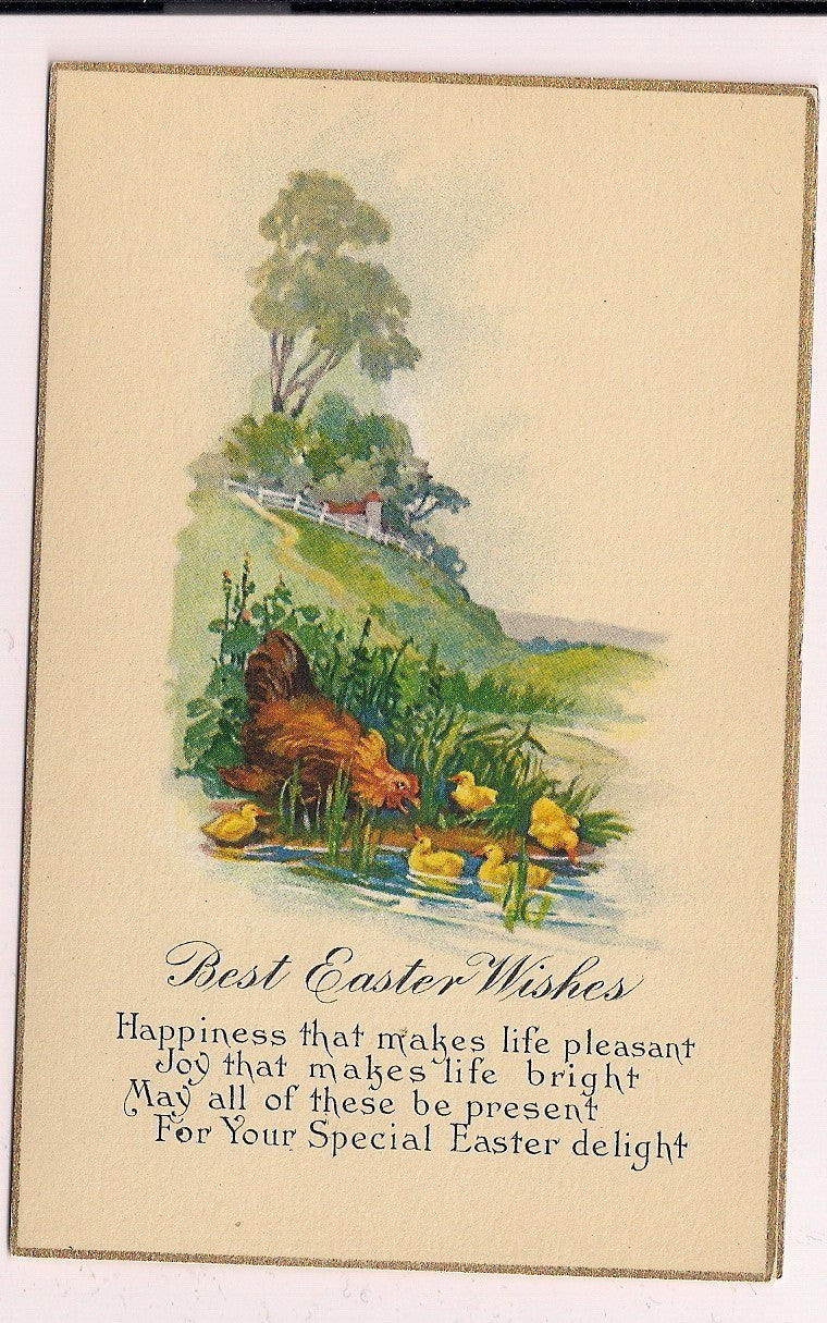 Yellow Rooster Duck Swimming in Lake Easter Postcard