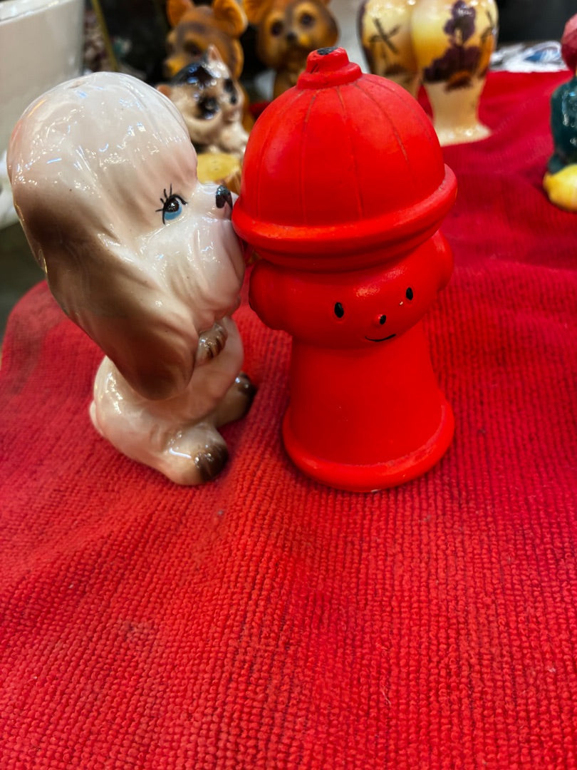 Dog and fire hydrant
