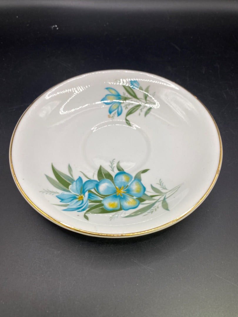 Teacup & Saucer