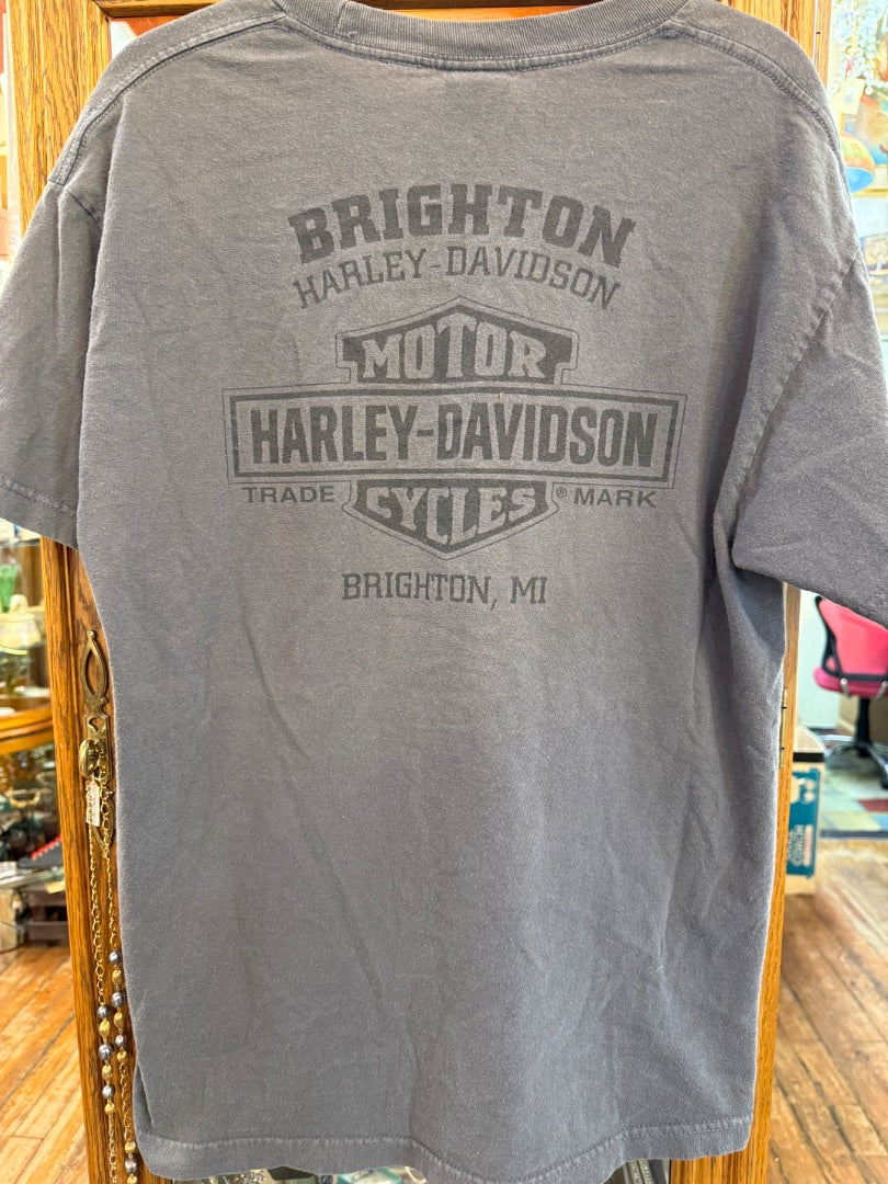 Vintage 90s/200s Harley Shirt