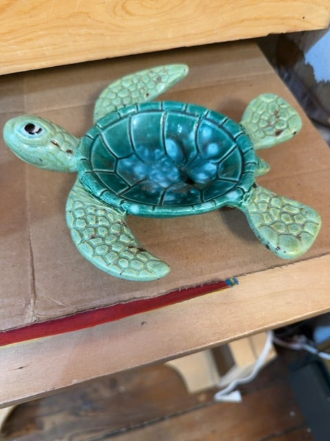 Hawaii Turtle signed