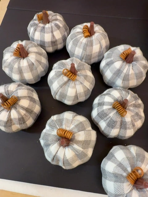 Grey white pumpkin