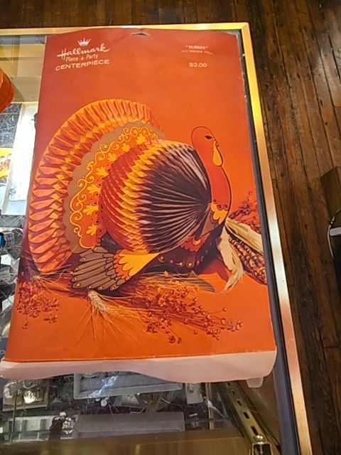 Paper Turkey