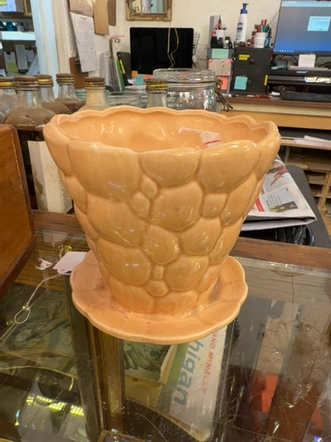 Pot