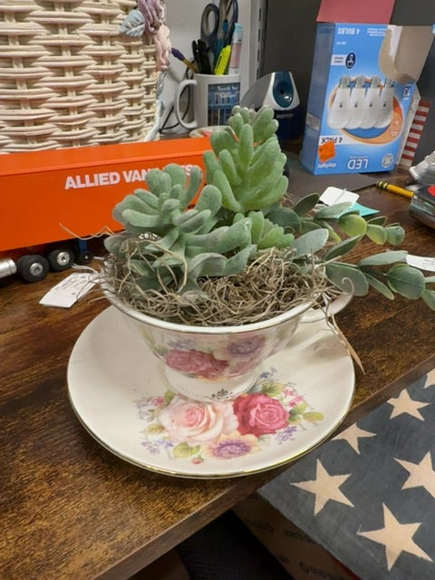 Faux succulents