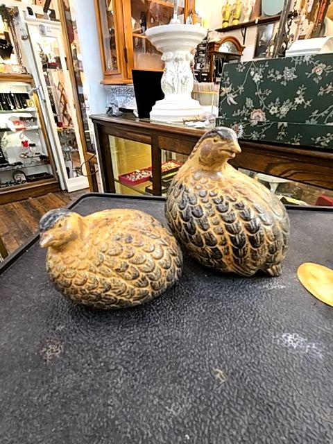 Set of Quail