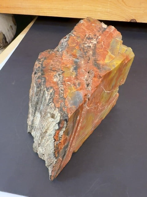 Arizona Rainbow petrified wood