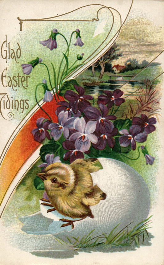 235 Chick Hatching Out Of Egg Surrounded By Flowers Easter Greetings Postcard 