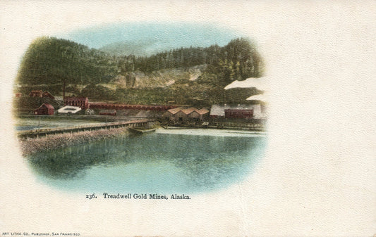 #236 Treadwell Gold Minds Alaska AK Postcard