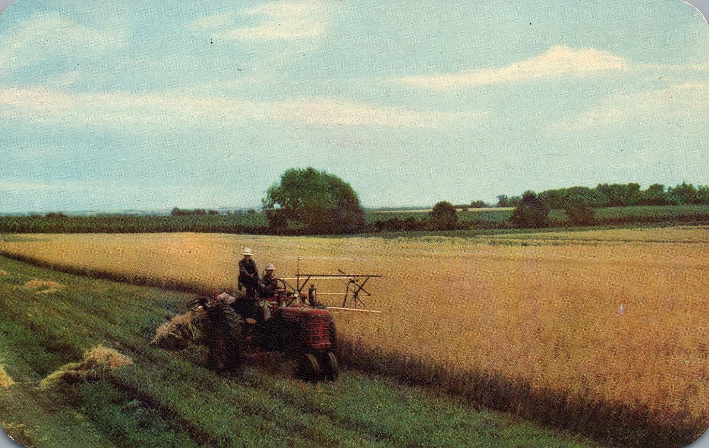 Two men on a tractor harvesting in a field