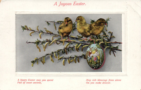 1911 A Joyous Easter Chicks on a branch