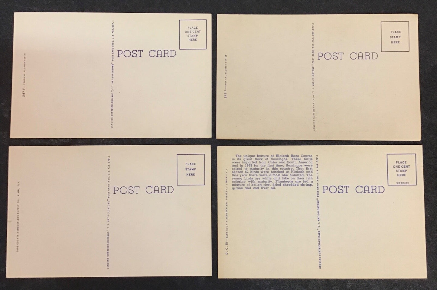 Lot of 8 Various Florida Birds Set of Postcards