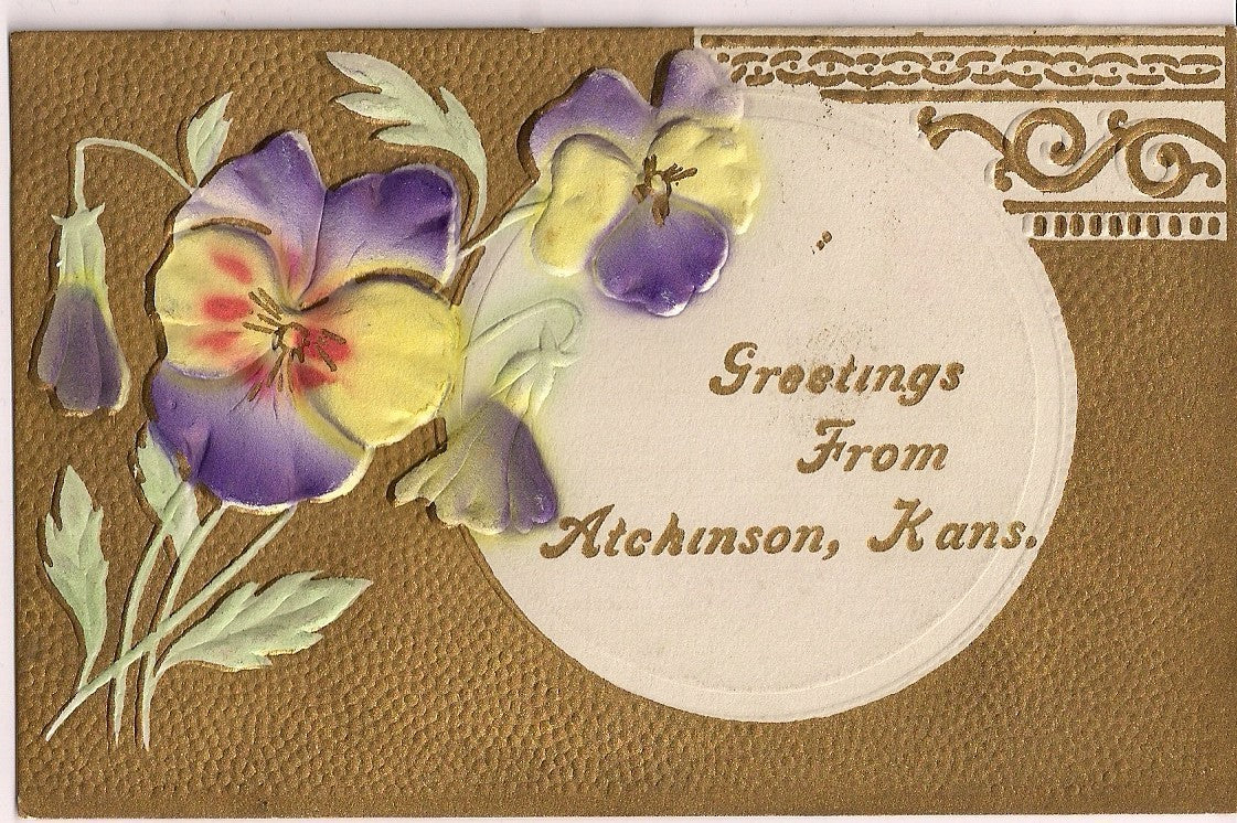 Pansy Flowers Greeting from Atchinson Kansas KS  Postcard