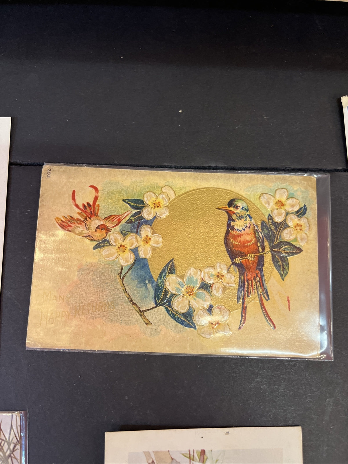 Set of 6 NEW Bird Postcards