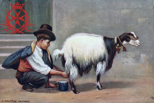"A Maltese Milkman" Little Boy Milking Goat Children Postcard