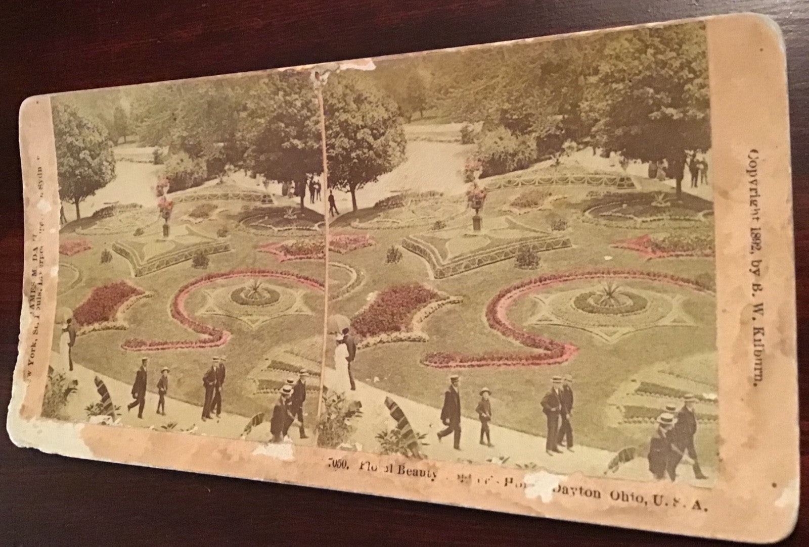 Real Photo Floral Beauty Dayton Ohio OH Park  Stereoview Hand colored 