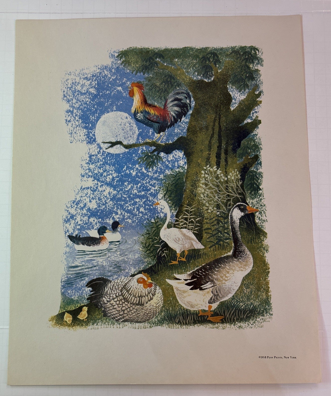 Six (6) Farm Animals Decorative Prints Penn 1958 Leonard Weisgard Yellow Folio