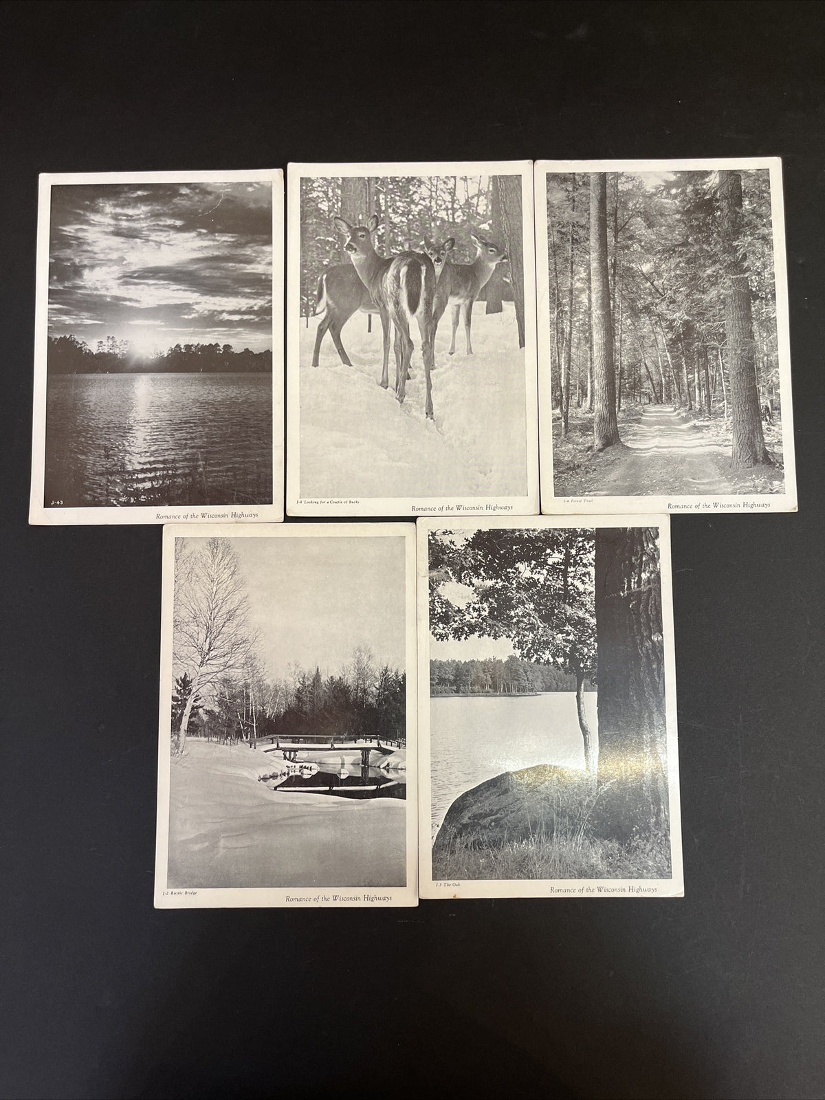 Lot of 5 Jumbo Postcard Romance of the Wisconsin Highways 