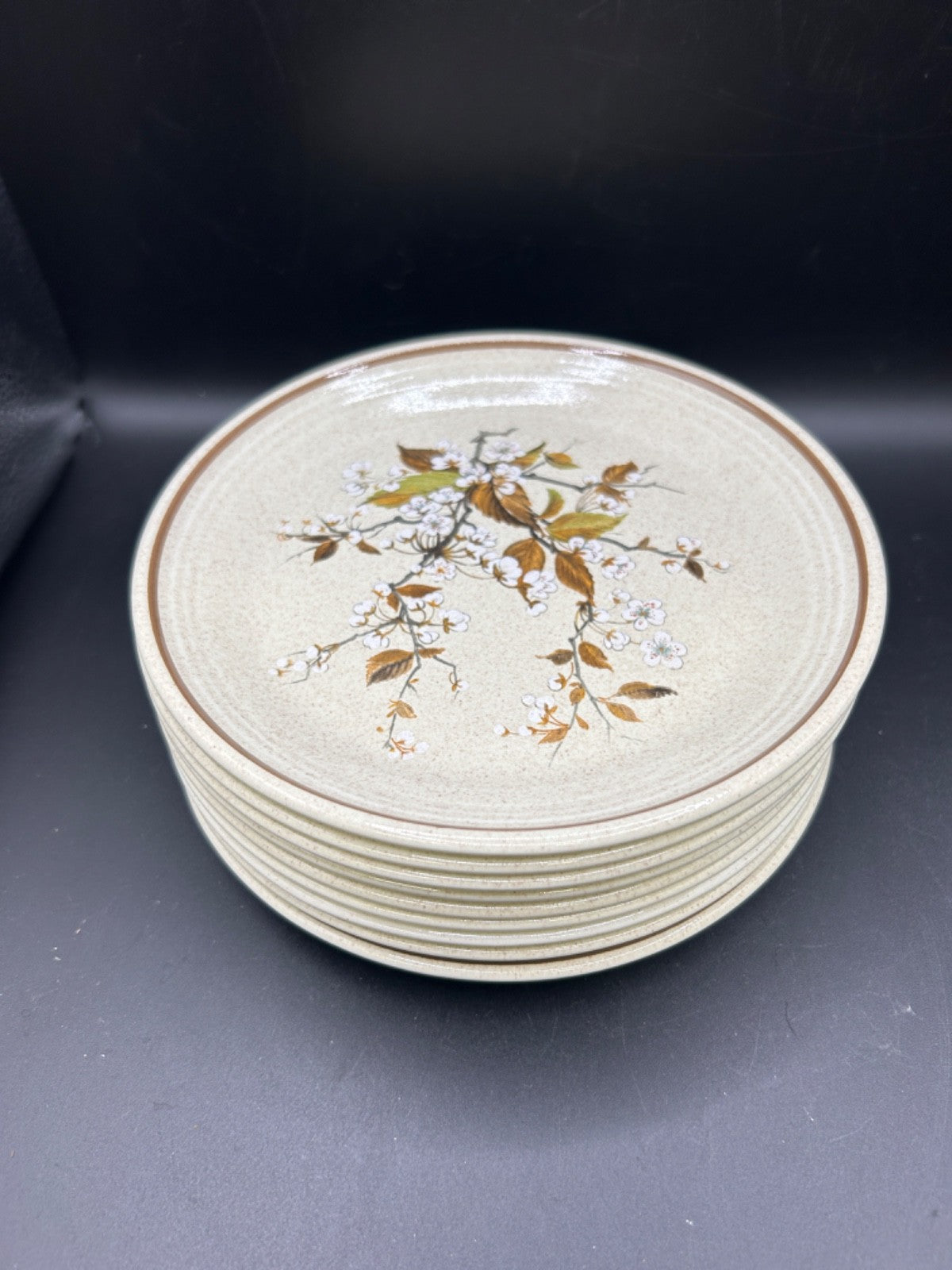 Royal Doulton WILD CHERRY 9 Salad Plates Made in England Lambethware 1979