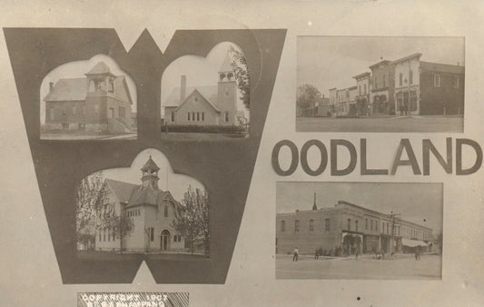 Woodland Real Photo Advertising Town Mich MI Michigan Vintage Postcard 