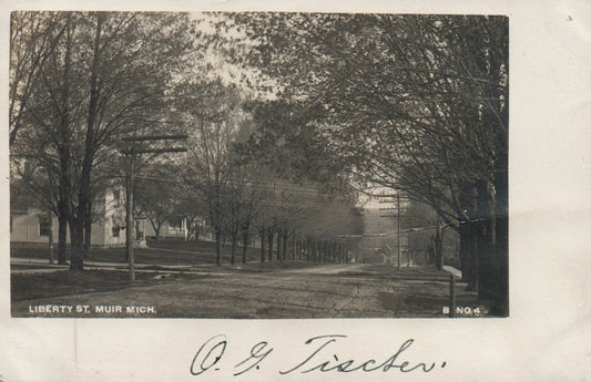 1907 Real Photo Liberty Street Muir Michigan MI Postcard B No 4