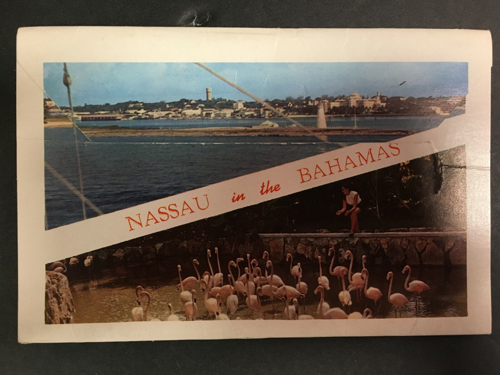  Exotic Nassau Bahamas Flamingo Large Letter Postcard Folder 