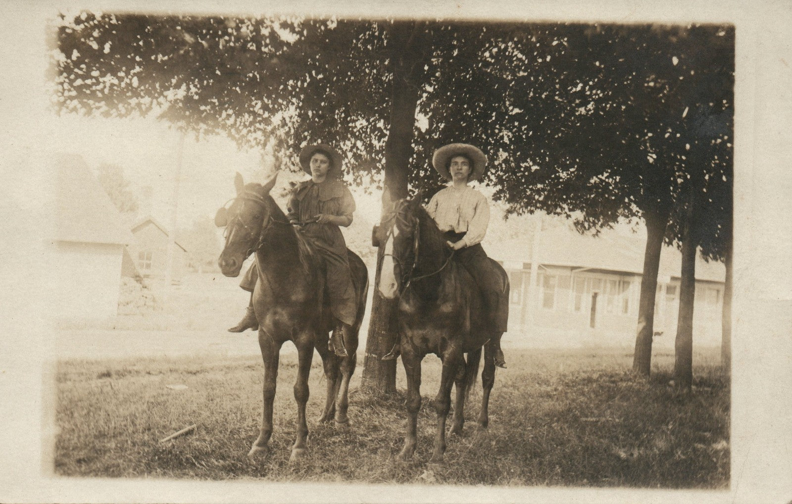 Horse and People Real Photo Postcard