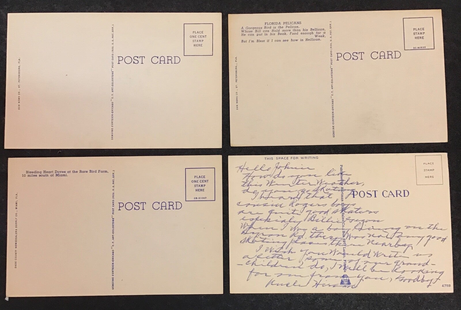 Lot of 8 Various Florida Birds Set of Postcards