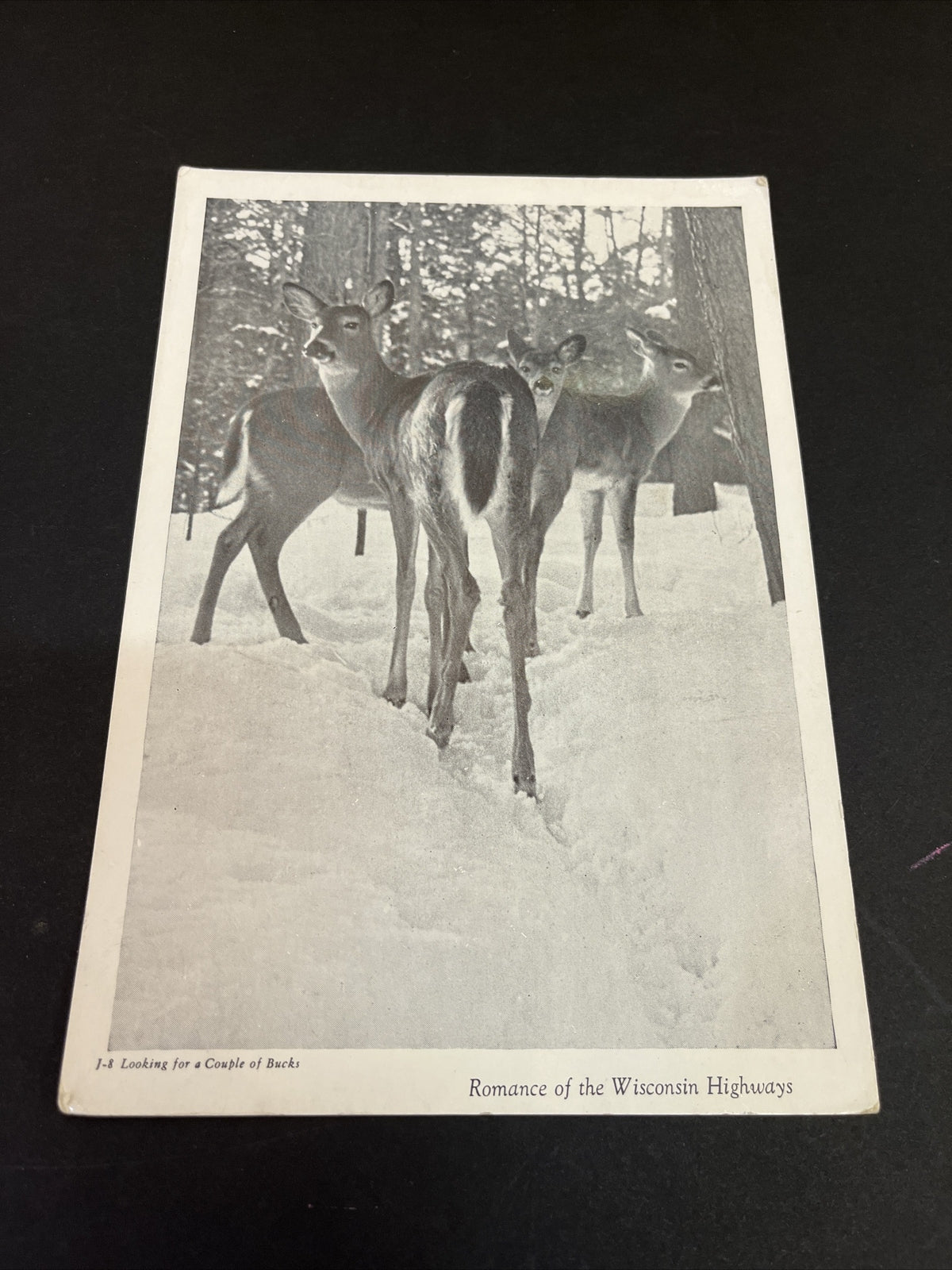 Lot of 5 Jumbo Postcard Romance of the Wisconsin Highways 