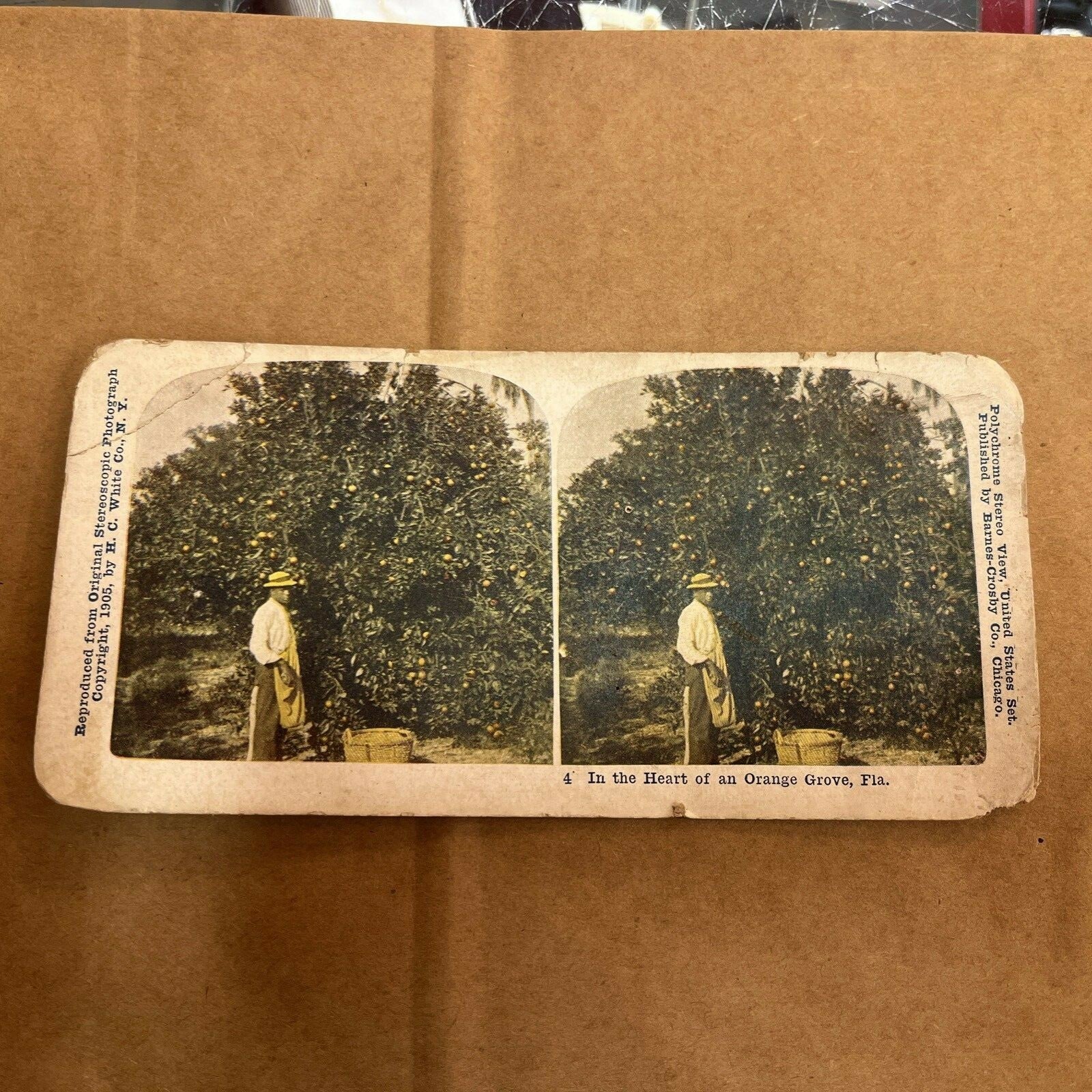 Heart Of Orange Grove, FL WORKER PICKING. POLYCHROME STEREOVIEW Color Card