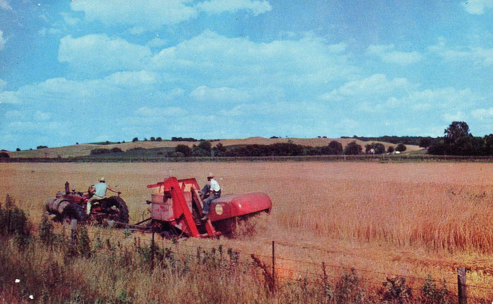 Wheat harvester in a field vintage postcard