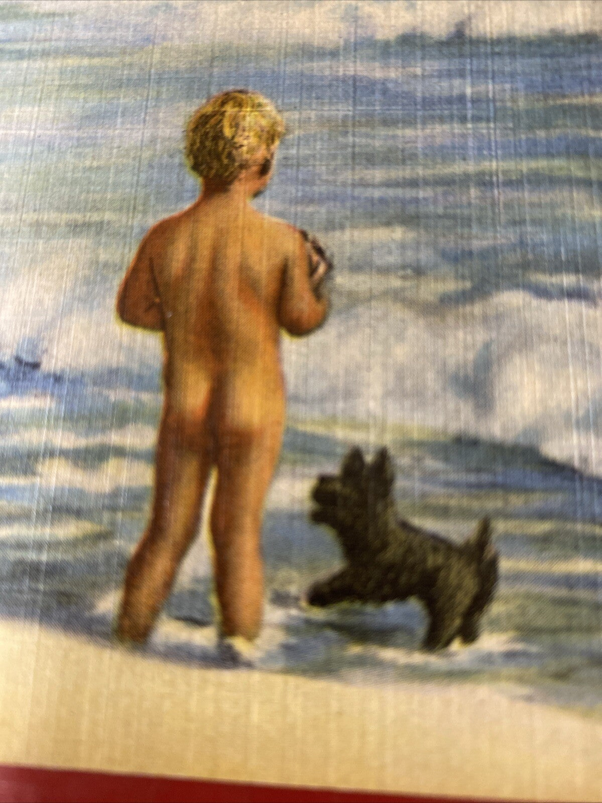Northern Exposure Baby Boy on beach Surf with Black Scotty dog Vintage Postcard