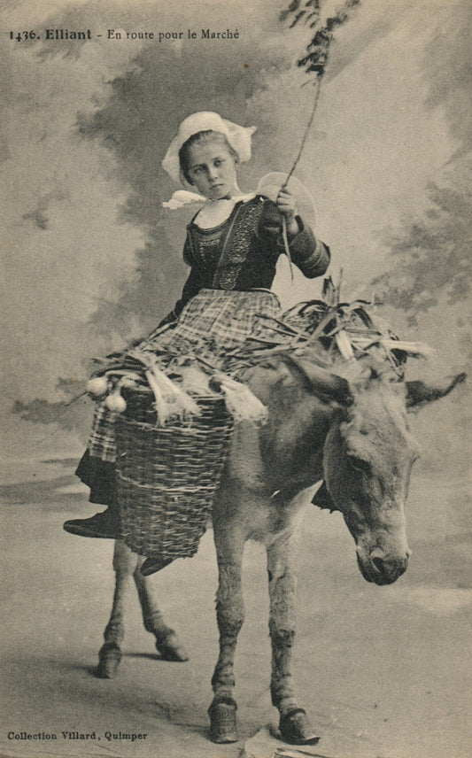 1436 Elliant En Route Pour le Marche French France Costume Postcard