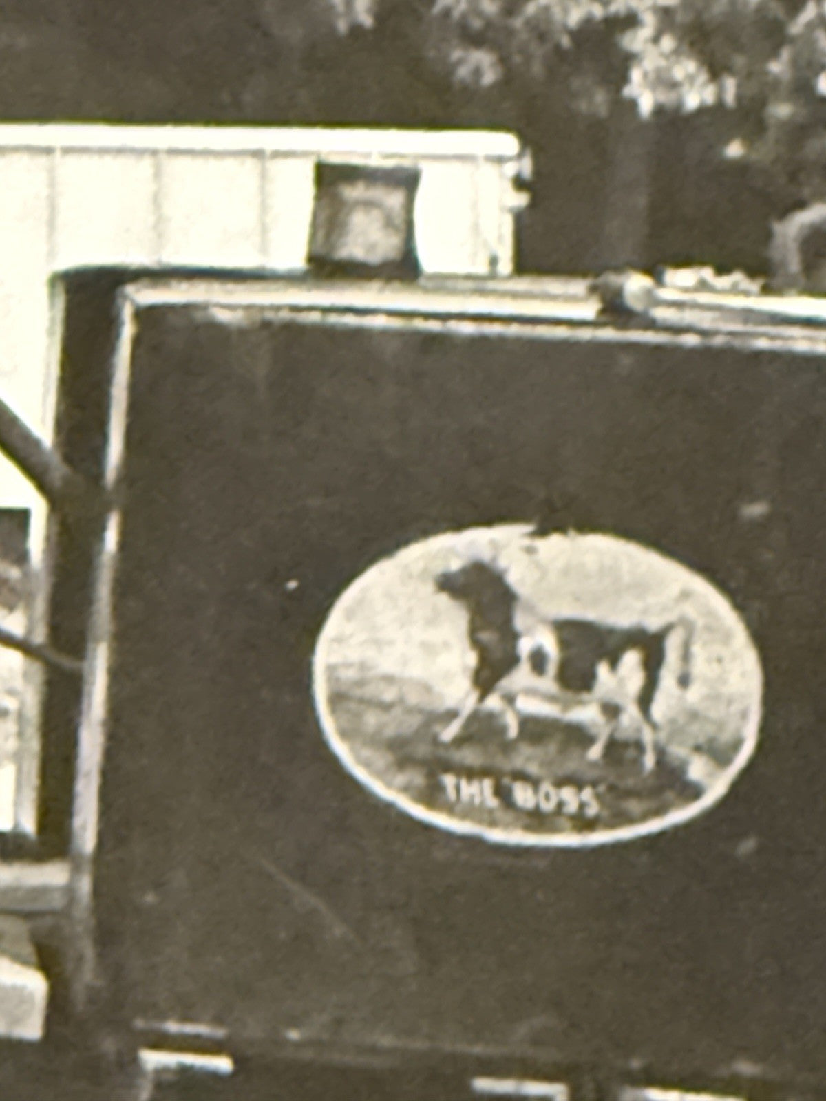 RPPC Real Photo Postcard OLD Russell Steam TRACTOR The Boss Cow