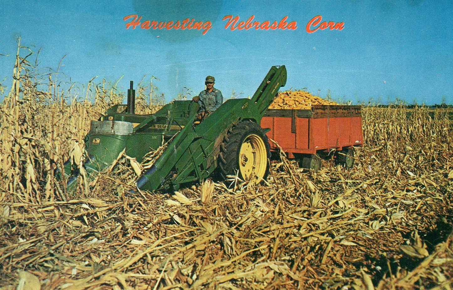 HARVESTING NEBRASKA CORN on a tractor