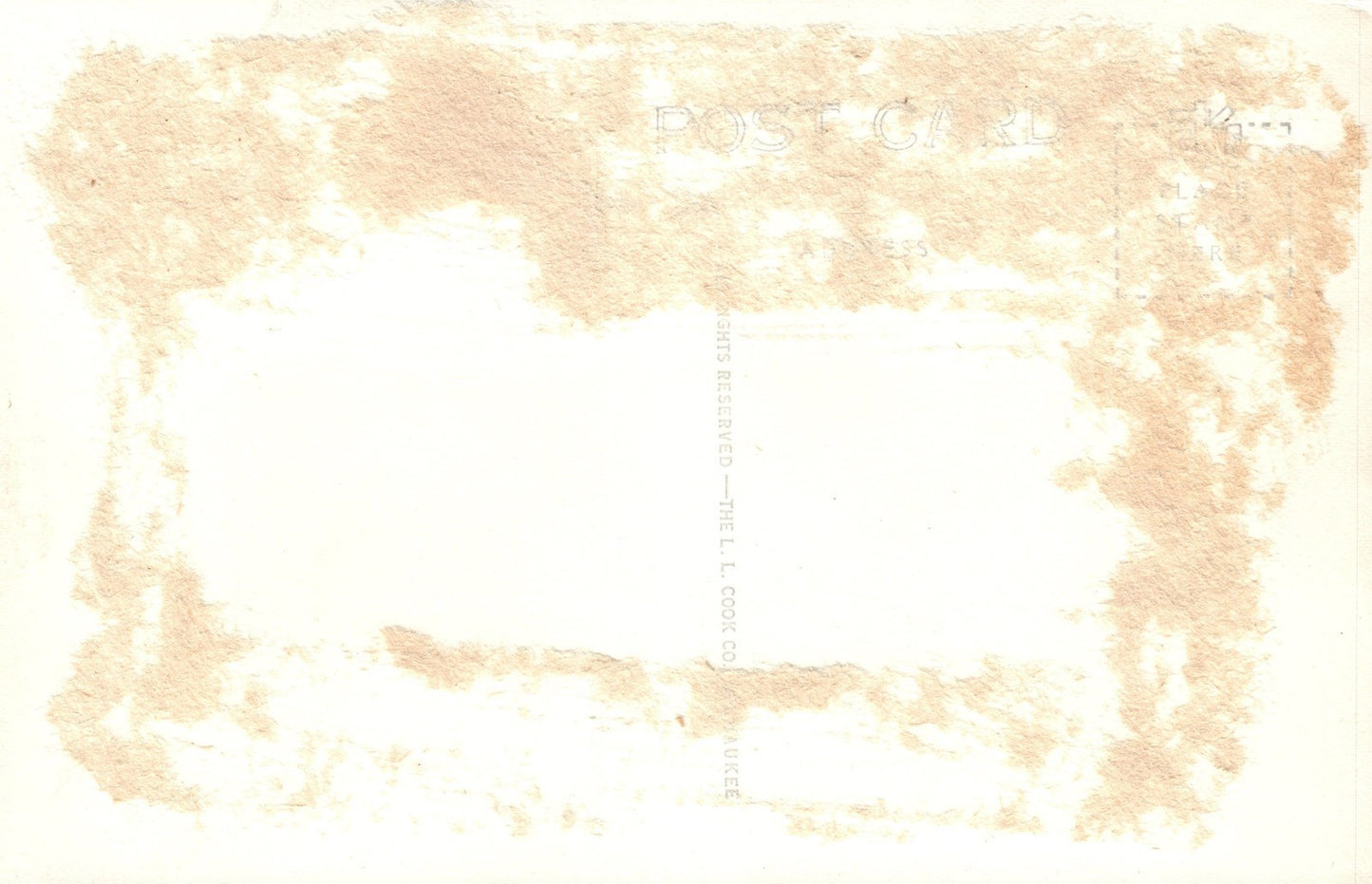 RPPC Real Photo Buck  Doe Deer LL Cook 1945 Gladstone MI Mich Michigan Postcard