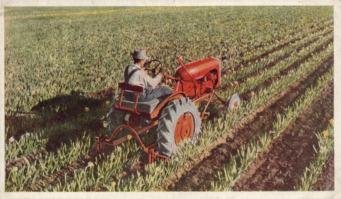 Allis-Charlmers model "B" TRACTOR vintage postcard