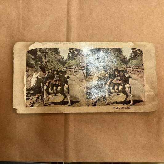 A FULL LOAD KIDS & DONKEY, POLYCHROME STEREOVIEW Color Card