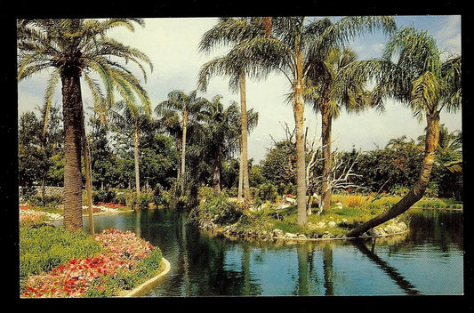 A Scene at Busch Gardens Tampa Florida Amusement Park Postcard FL