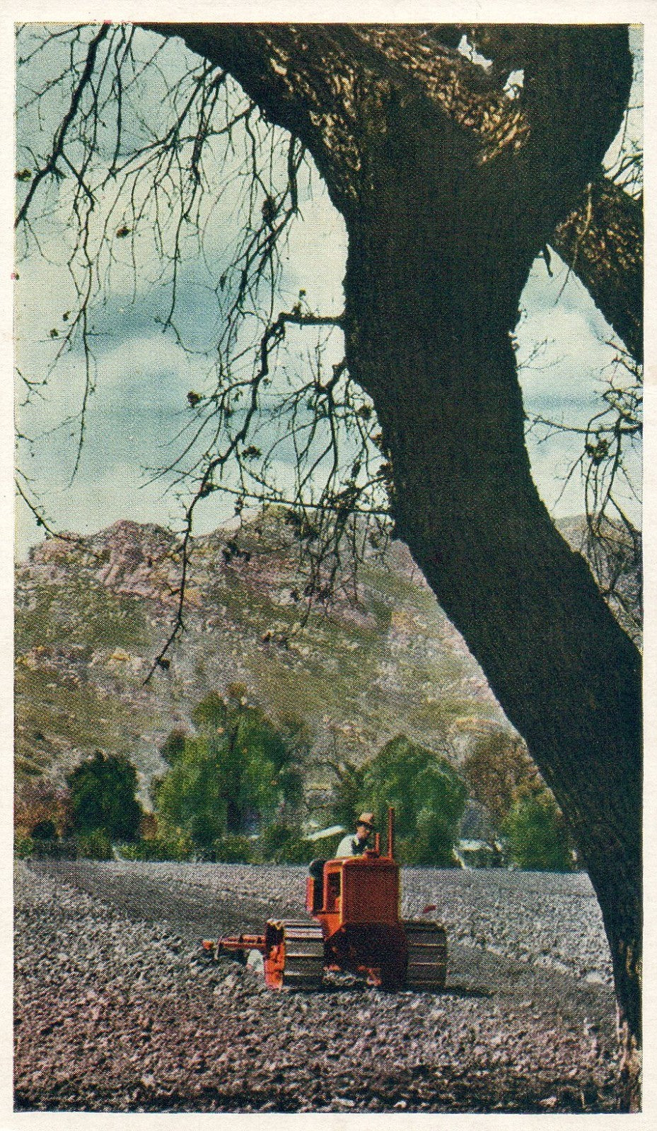 Allis-Chalmers Model "M" Tractor Vintage postcard