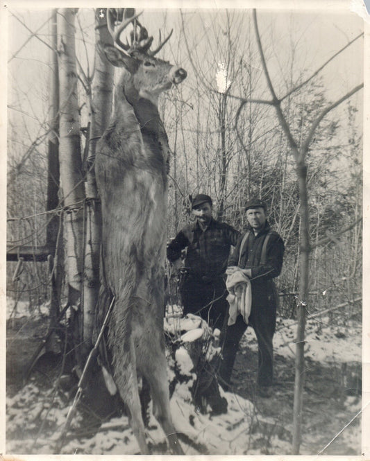 ? Michigan ? Two Men w/ Large Buck in Woods 8 x 10 Real Photo Vintage Ephemera